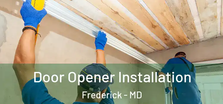  Door Opener Installation Frederick - MD