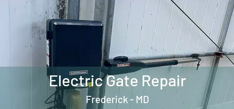  Electric Gate Repair Frederick - MD