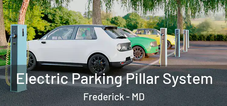  Electric Parking Pillar System Frederick - MD