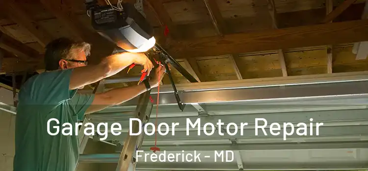  Garage Door Motor Repair Frederick - MD