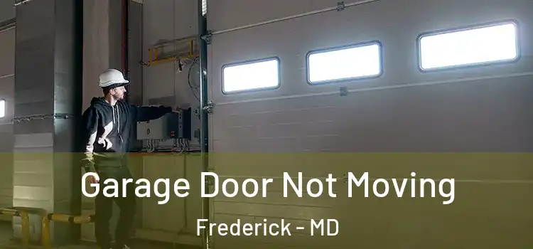  Garage Door Not Moving Frederick - MD