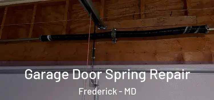  Garage Door Spring Repair Frederick - MD
